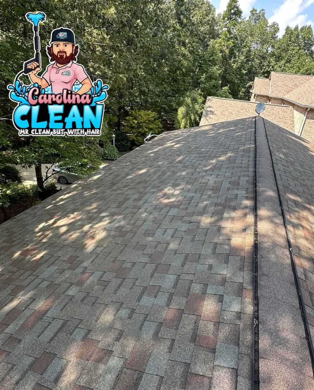 Roof Washing image
