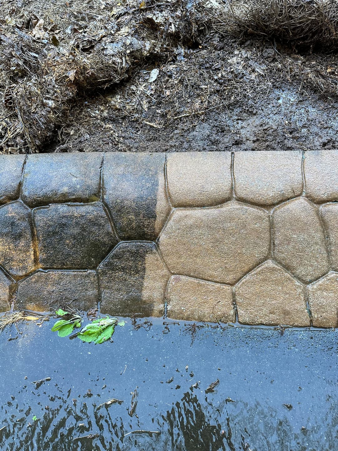 Stone hexagonal tiles along the water's edge with muddy soil and green leaves.