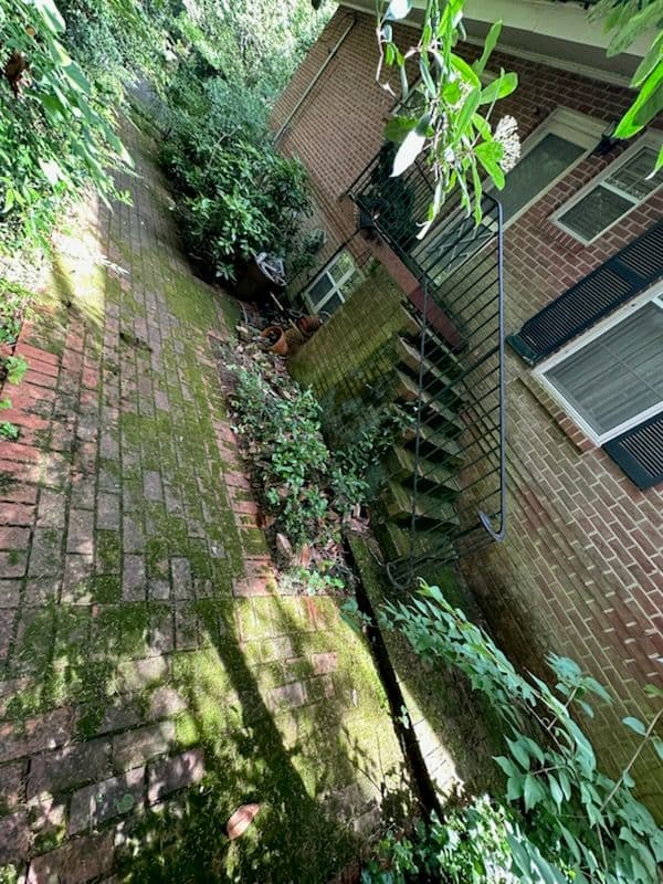 Transform Your Exterior with Expert Soft Washing